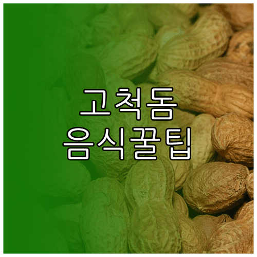 고척돔 음식 반입 가능 품목과 금지 품목