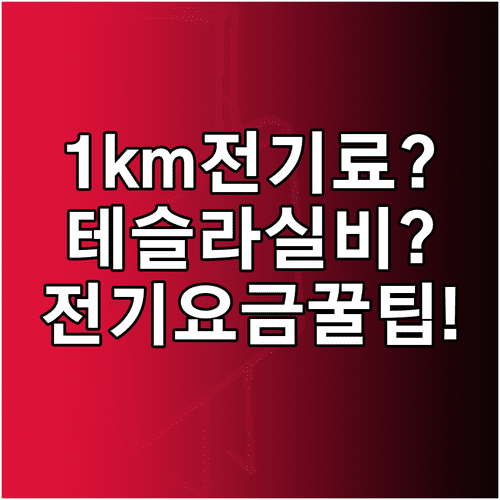 테슬라 모델 Y 1km 주행 전기 요금 실비 계산