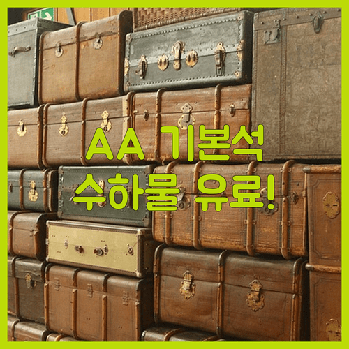 아메리칸항공 기본 이코노미 수하물 유료 주의사항