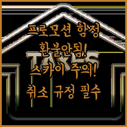 스카이 앙코르 항공 취소 규정, 프로모션 운임은 환불 불가