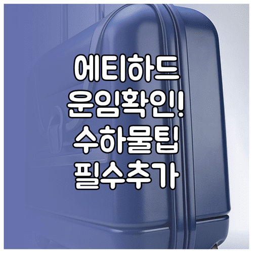 에티하드 항공 수하물 팁 운임 등급 확인하고 사전 추가 구매