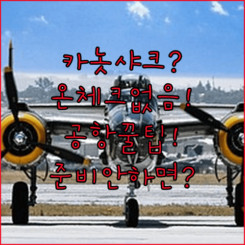 카놋샤크 항공, 온라인 체크인 없어요 | 공항에서 이렇게 준비하세요