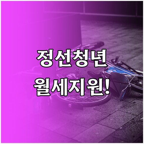 정선군 청년월세지원 자격 조건과 필수 서류 안내
