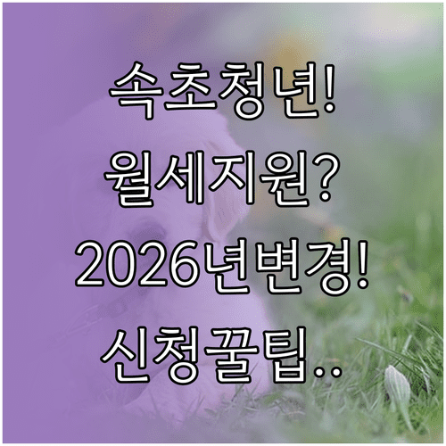 속초시 청년월세지원 2026년 변경사항과 신청 방법