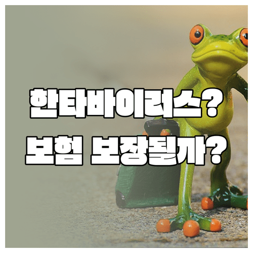해외여행 중 한타바이러스 여행자보험 보장 여부 | 보장 항목, 제외 대상, 필수 서류