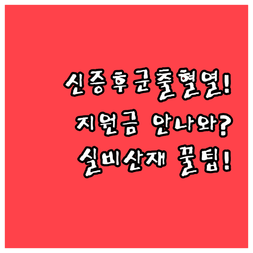 신증후군출혈열 국가 지원 한계와 대책 | 실비보험 청구, 산재 신청 서류