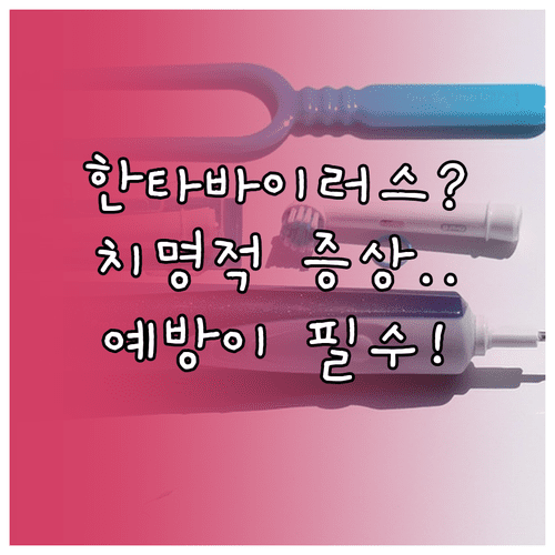 한타바이러스 원인과 증상 및 감염 예방을 위한 생활 수칙