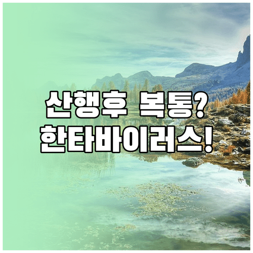 산행 후 갑작스러운 복통 주의 | 한타바이러스 감염 경로와 주요 증상