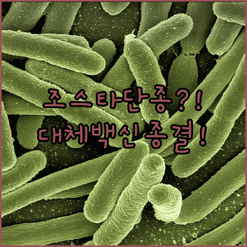 image 7f2d18e3