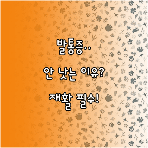 족저근막염 호전되지 않는 원인과 맞춤형 재활 운동 필요성