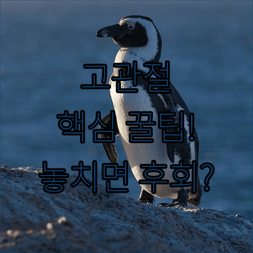 image 9fdaf90a