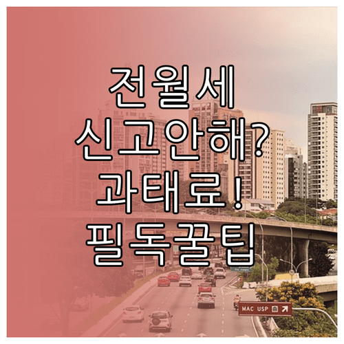 전월세 신고제 신고 의무 대상과 과태료 부과 기준, 자주 묻는 질문