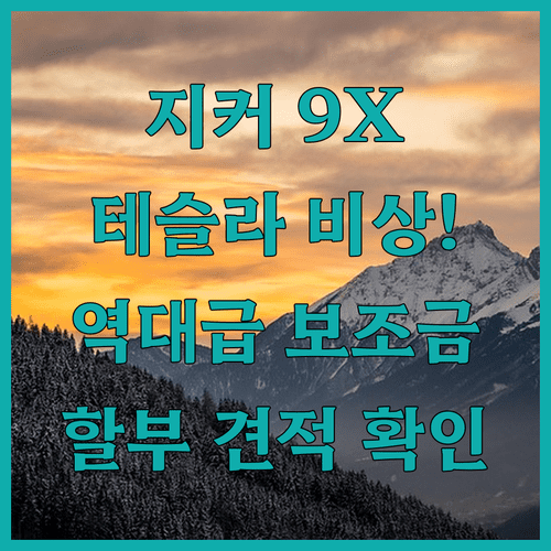 지커 9X 예상 가격 | 테슬라 비교 | 보조금 적용 할부 견적