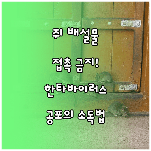 image eaa0f9b7
