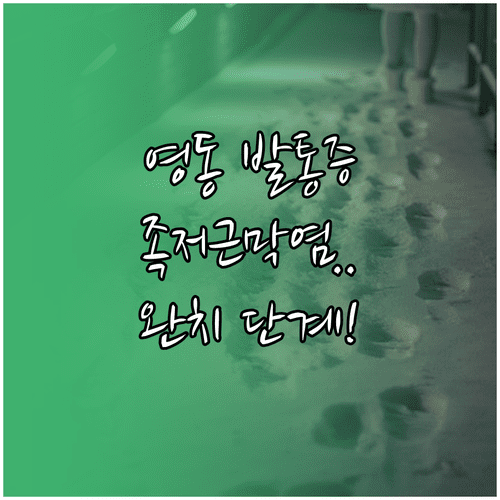 image f245d9d3