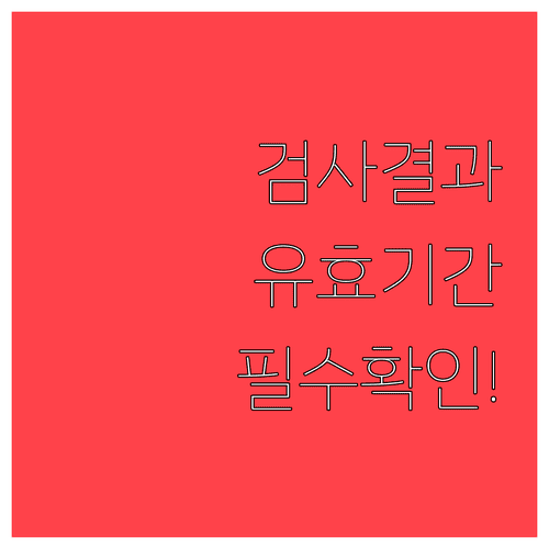 자동차검사 결과 조회 방법과 검사 유효기간 확인