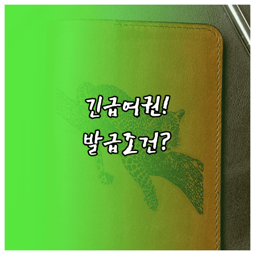 긴급여권 발급조건과 준비서류, 출국 전 확인사항