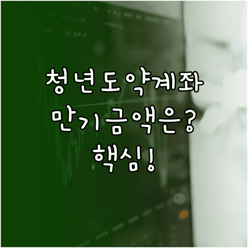 청년도약계좌 만기 금액을 결정하는 핵심 요소