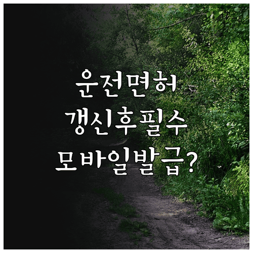 운전면허 갱신 후 모바일 면허증 발급 전 확인사항